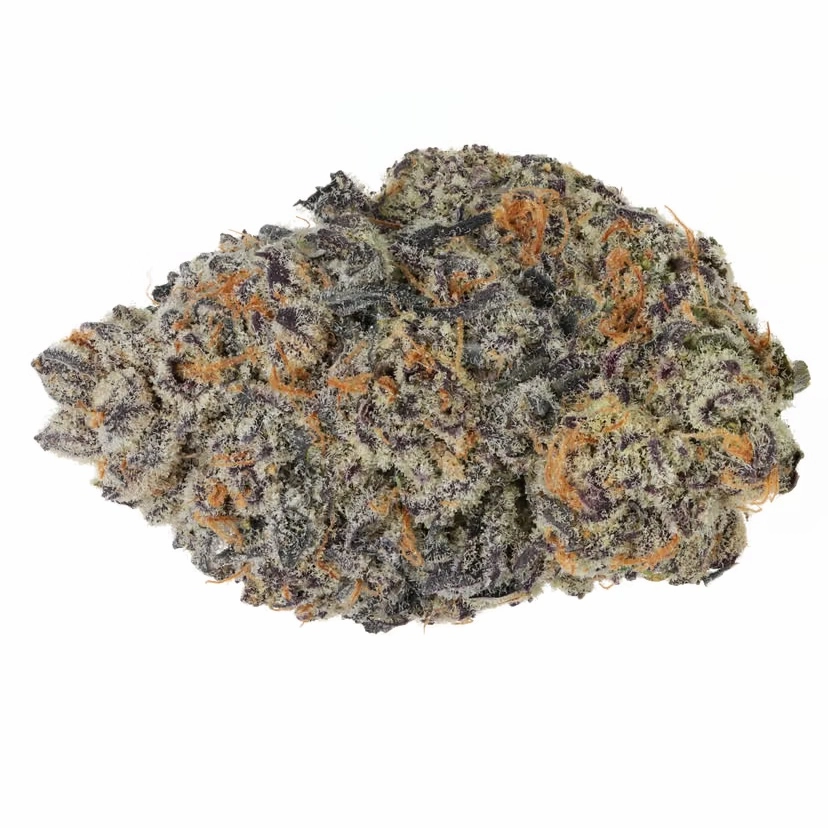 Closeup of King Louis OG flower.