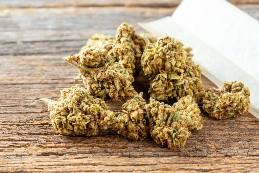 cannabis on table