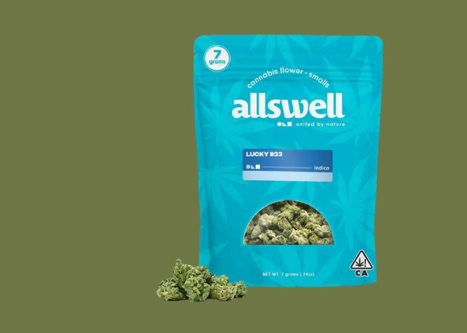 Allswell Lucky #33 bag against a green background.