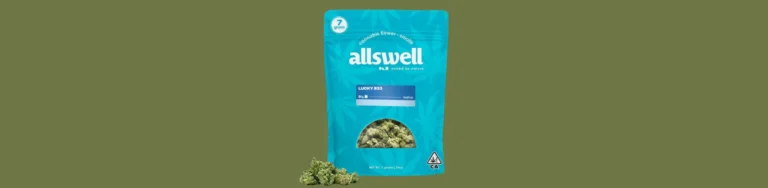 Allswell Lucky #33 bag against a green background.